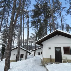 Отель Complex Brashlyan 2* Бунгало фото 26