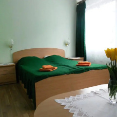 Отель Elīna 3* Стандартный номер