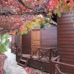 Changa Hotel Бунгало с различными типами кроватей фото 2