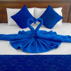 Golden Park Hotel Номер Делюкс с двуспальной кроватью