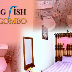 Отель King Fish Guest House ванная фото 2