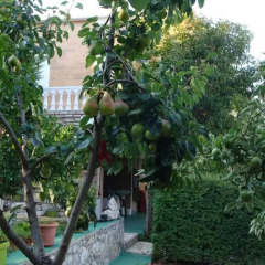 Отель Villa M Cako Албания, Ксамил - отзывы, цены и фото номеров - забронировать отель Villa M Cako онлайн фото 5