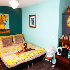 Отель Tulip Guesthouse детские мероприятия фото 2