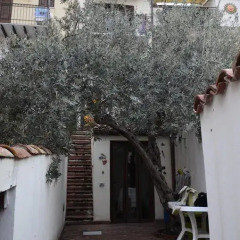 Отель Guest House Spinuzza Апартаменты фото 15