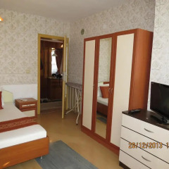 Family Hotel Lebed комната для гостей фото 5