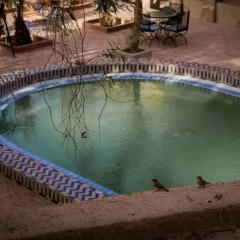 Отель Kasbah Mohayut Марокко, Мерзуга - отзывы, цены и фото номеров - забронировать отель Kasbah Mohayut онлайн бассейн фото 2