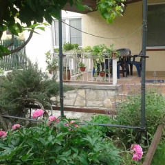 Отель The house in Greenery фото 6