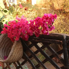 Отель Riad Dar Zaouia Марокко, Загора - отзывы, цены и фото номеров - забронировать отель Riad Dar Zaouia онлайн фото 6