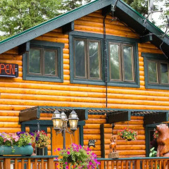 Отель Mountain River Lodge гостиничный бар