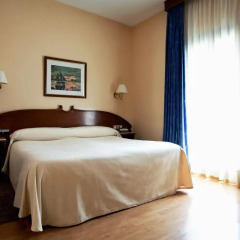Отель Gaudi 3* Стандартный номер с двуспальной кроватью