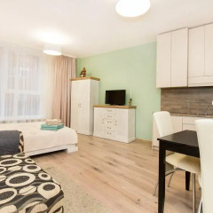 Отель Apartamentai 555 Литва, Вильнюс - отзывы, цены и фото номеров - забронировать отель Apartamentai 555 онлайн в номере