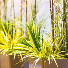 Отель Holiday Inn Express Quebec City - Sainte Foy Канада, Квебек - отзывы, цены и фото номеров - забронировать отель Holiday Inn Express Quebec City - Sainte Foy онлайн фото 3