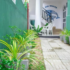 Fun whales Guest house and Hostel фото 2