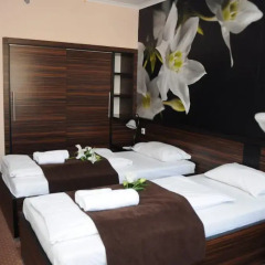 Green Hotel Budapest 4* Стандартный номер с двуспальной кроватью фото 3