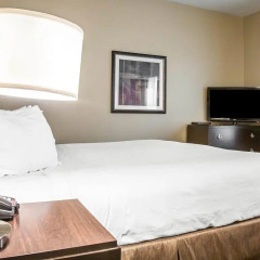 enVision Hotel Boston Longwood, an Ascend Collection Member 2* Стандартный номер разные типы кроватей фото 4