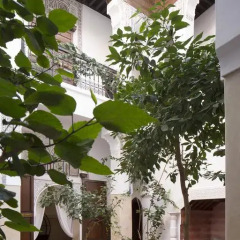 Отель Riad Assala Марокко, Марракеш - отзывы, цены и фото номеров - забронировать отель Riad Assala онлайн фото 11