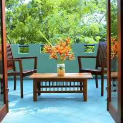 Отель Tropical Retreat фото 2