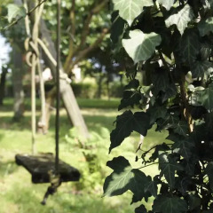 Отель Agriturismo Da Gas Сан-Джорджо-ин-Боско