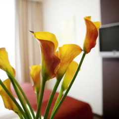 Boutique Hotel Das Tigra 4* Полулюкс с разными типами кроватей фото 4