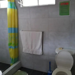 Iguana Hostel Cali Стандартный номер с двуспальной кроватью (общая ванная комната) фото 2
