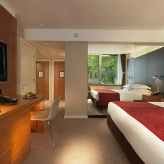 Royal Garden Hotel 5* Стандартный номер с различными типами кроватей фото 2