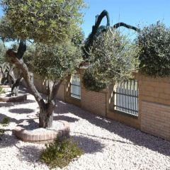 Отель B&B Colle Acquabella Ортона фото 3