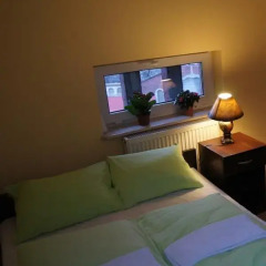 Green Hostel Wrocław Стандартный номер с различными типами кроватей фото 8