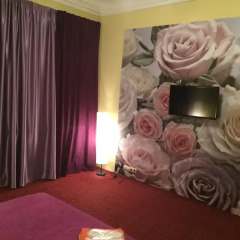 Hotel Sad 3* Стандартный номер фото 19