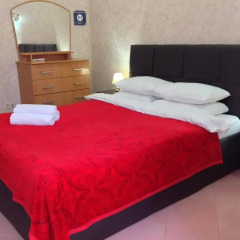 Апартаменты Apartment Svetlana Апартаменты с различными типами кроватей фото 21