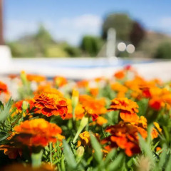 Отель El Capricho de los Montes фото 7