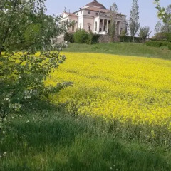 Отель B&B al Doremi Италия, Лимена - отзывы, цены и фото номеров - забронировать отель B&B al Doremi онлайн фото 10
