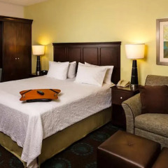 Отель Hampton Inn & Suites Houston-Medical Ctr-Reliant Park 3* Студия фото 2