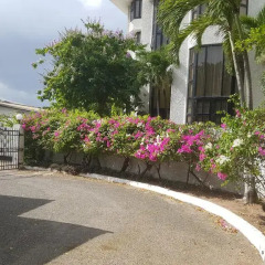 Отель Caribe Hideaway парковка