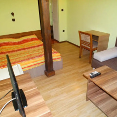 Hotel Grivitsa Стандартный номер фото 6