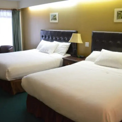 Отель Chalet Continental Motel 2* Стандартный номер с различными типами кроватей фото 6