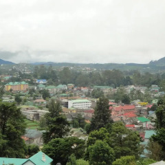 Отель New Nuwara Eliya Inn фото 6