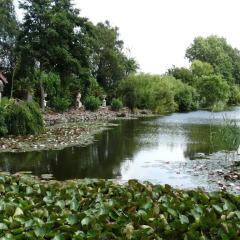 Отель Paradijs Eiland Нидерланды, Хазерсвауде-Рейндейк - отзывы, цены и фото номеров - забронировать отель Paradijs Eiland онлайн приотельная территория фото 2