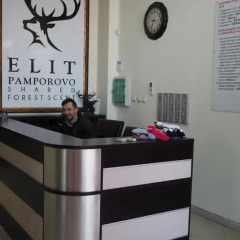 Апартаменты Elit Pamporovo Apartments интерьер отеля