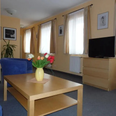 Отель Pension-Apartmany Cesky Dvur интерьер отеля