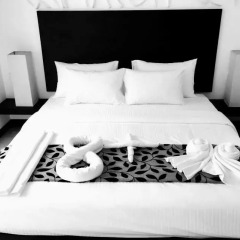 Отель 8 Plus Motels в номере фото 2