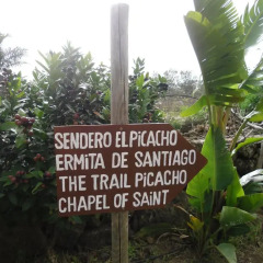 Отель Finca El Picacho фото 2
