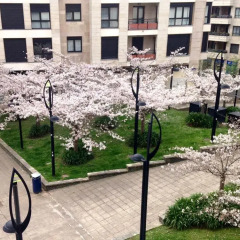 Отель Pension T5 Donostia Suites спортивное сооружение