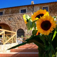 Отель Antico Borgo Casalappi фото 7