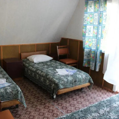 Гостиница Pansionat Kobzar Номер категории Эконом с различными типами кроватей фото 4