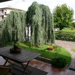 Отель B&B La Mansardina Италия, Лимена - отзывы, цены и фото номеров - забронировать отель B&B La Mansardina онлайн