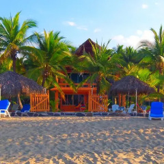 Отель Bungalows Tree Tops 5* Люкс с различными типами кроватей фото 21