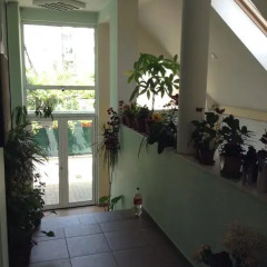 Отель Guest House Diel Стандартный номер фото 9