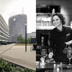 Отель Düsseldorf Seestern Германия, Дюссельдорф - отзывы, цены и фото номеров - забронировать отель Düsseldorf Seestern онлайн с домашними животными