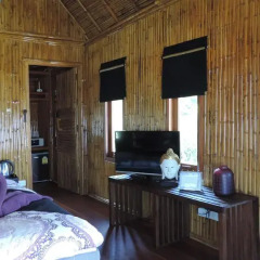 Отель Lazy Days Bungalows 3* Бунгало фото 8