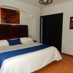 Hotel Roma Guadalajara 3* Номер Делюкс с различными типами кроватей фото 3